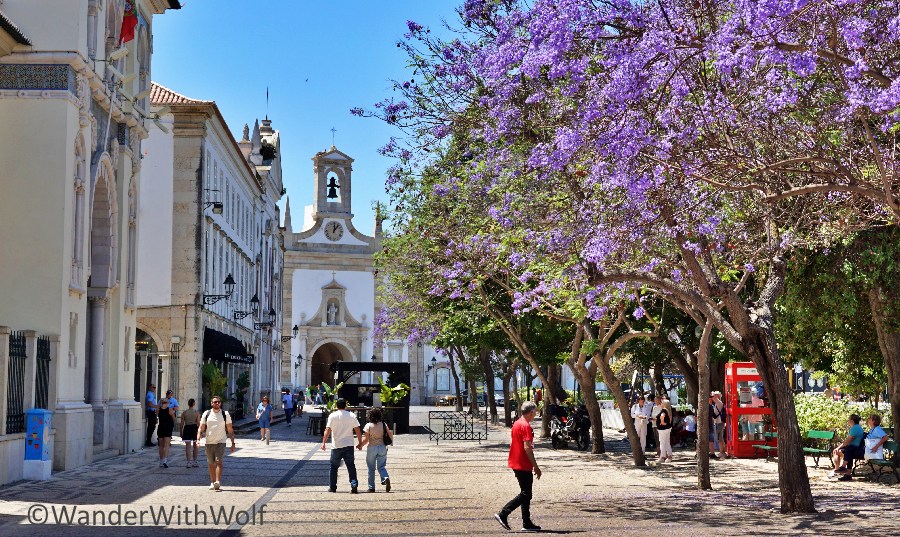 In Faro, Algarve, Portugal. Foto: wanderwithwolf
