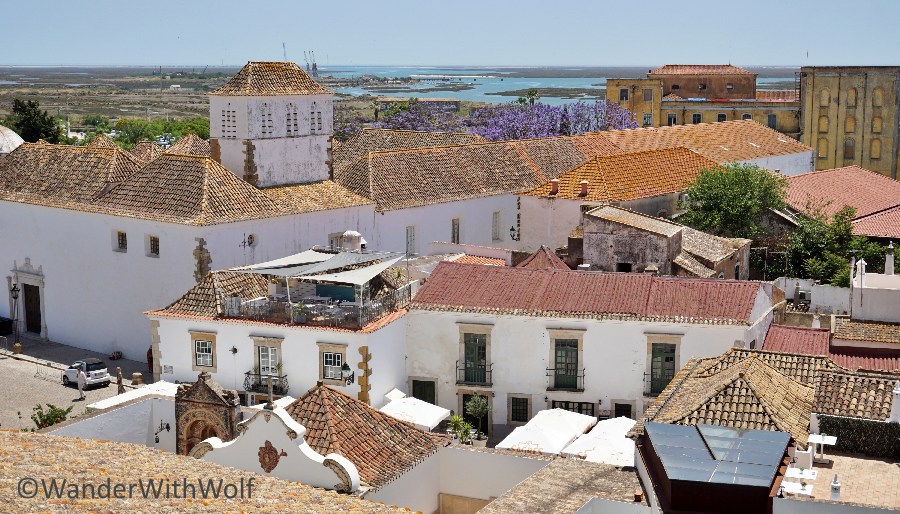 In Faro, Algarve, Portugal. Foto: wanderwithwolf