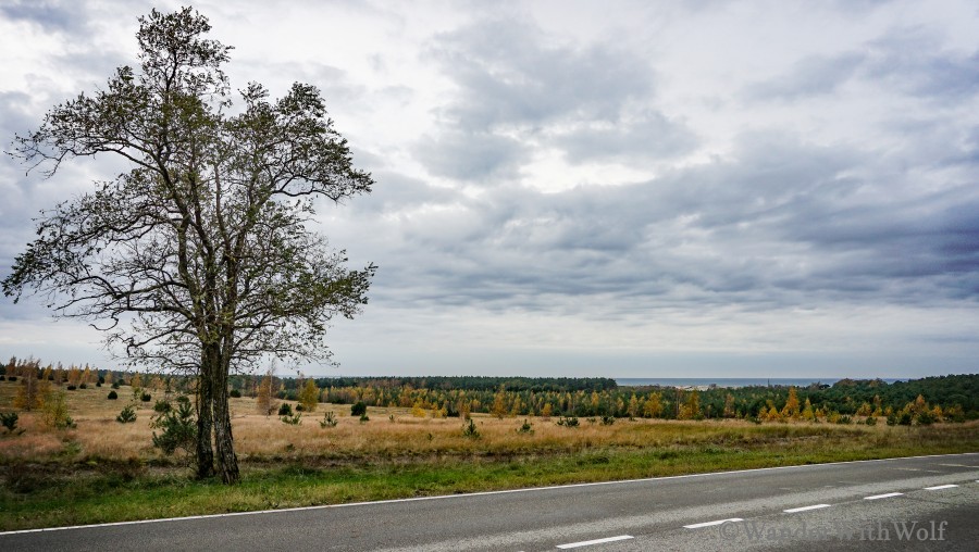 Auf der Kurischen Nehrung, Litauen. Foto: WanderWithWolf.de
