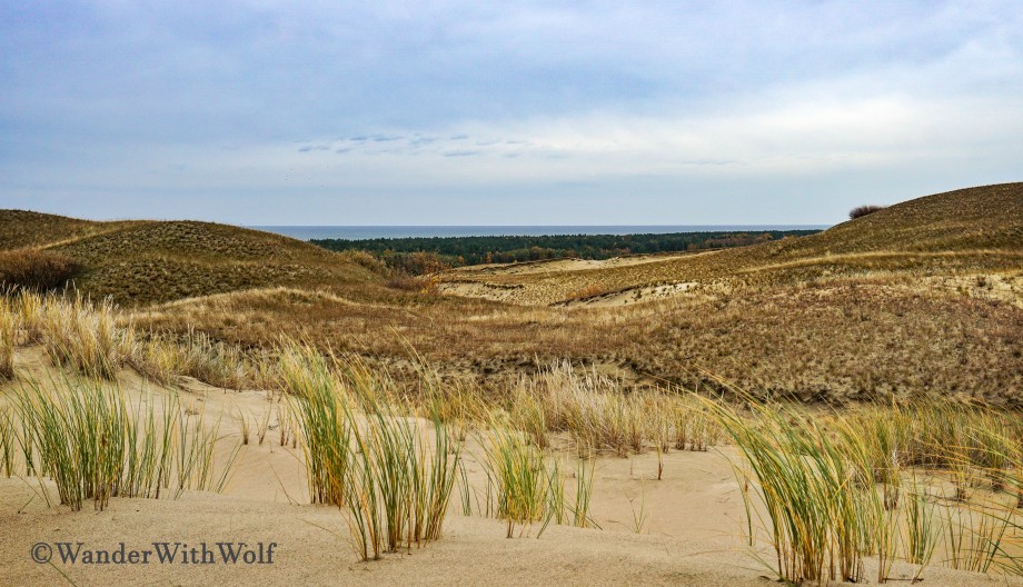 Auf der Kurischen Nehrung, Litauen. Foto: WanderWithWolf.de