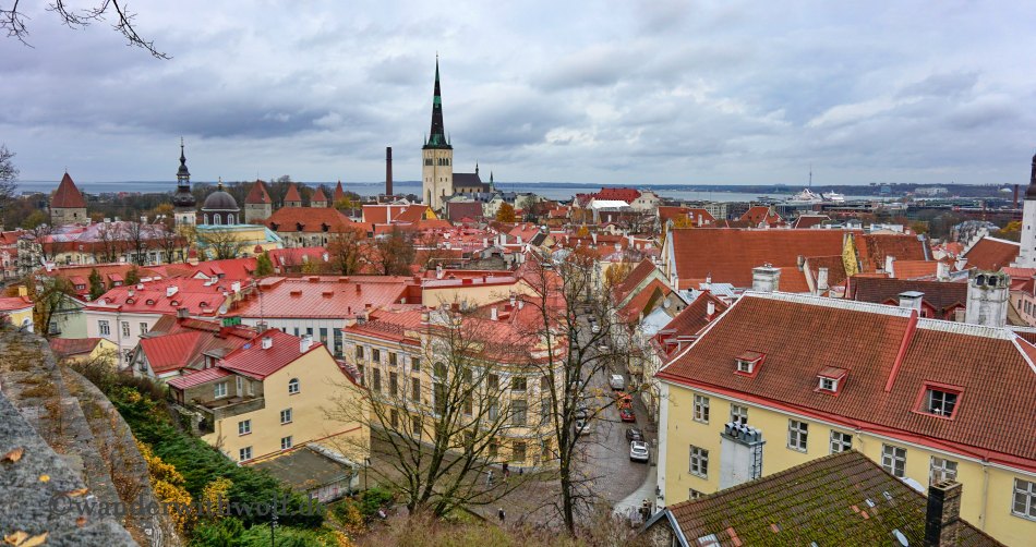 Tallinn, Estland. Foto: wanderwithwolf