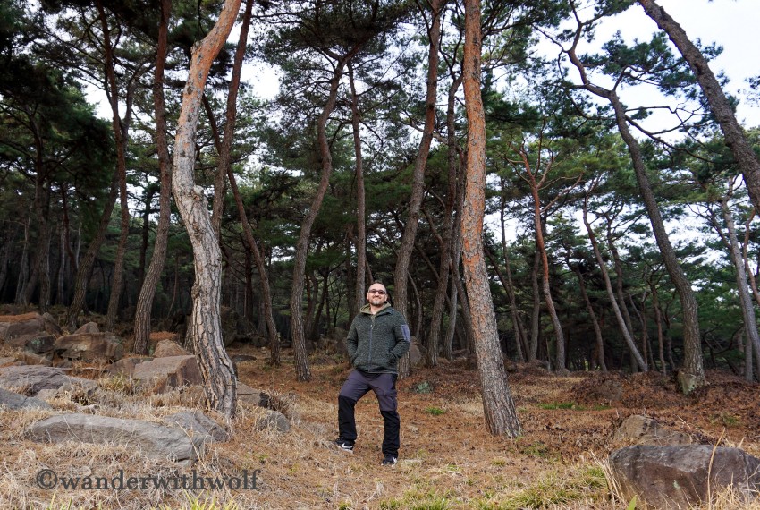 In Gochang, Südkorea. Foto: WanderWithWolf